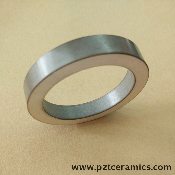 Piezoelectric Ceramic Ring Element