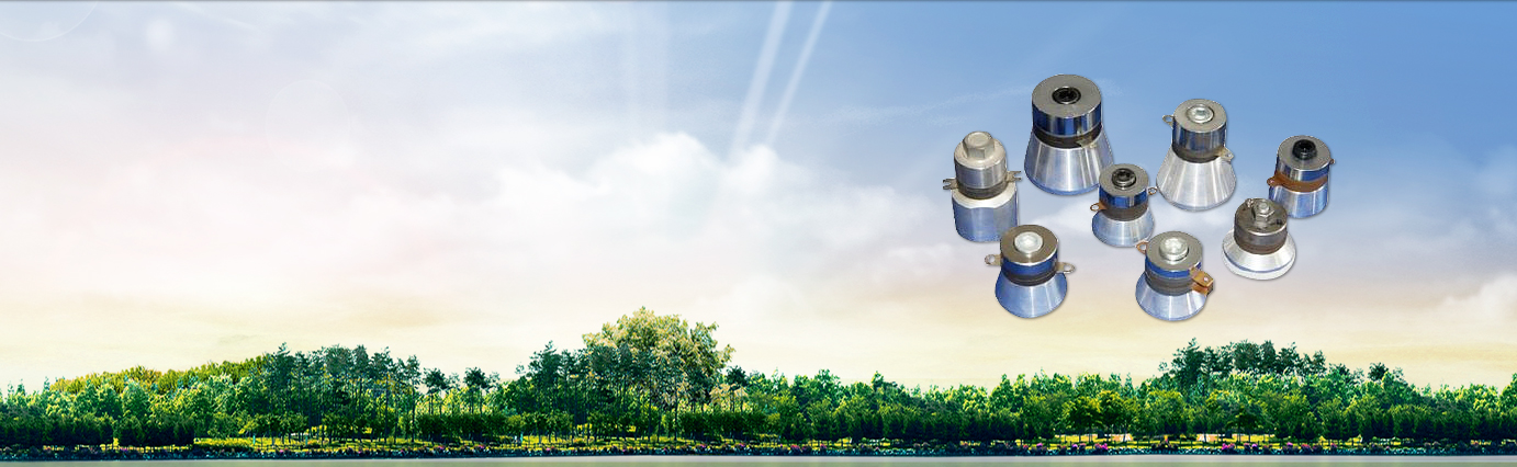 Ultrasonic Cleaning Transducer