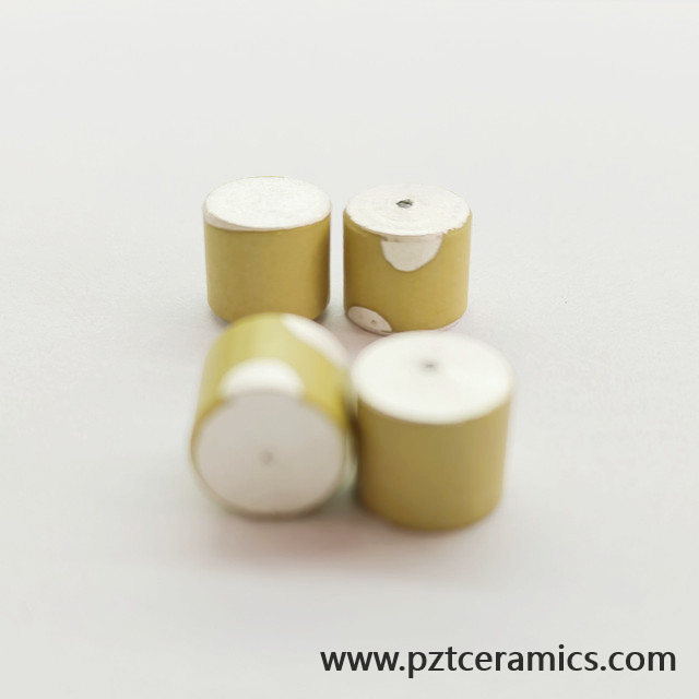 Piezoelectric Ceramic Sensor Piezo Transducer China Manufacturer Customized Products