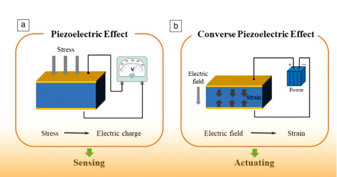 Diagram of the Two Core Effects of Piezoelectric Ceramics Discs.png